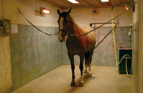 CIR installation horse drying station